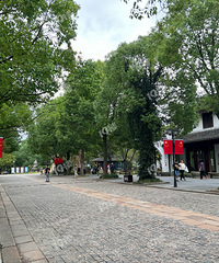 ���ž���÷���ޣ��˺��� ��������Щ���̶���û����Ӫҵ��