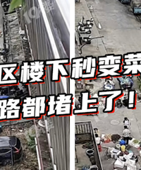 ���ѣ�˭��˵��Ҫ�ǹܣ�