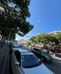 �ų��پ���һֻ�۱�һֻ���˰���С���ⶼ��Υͣ������������