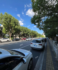 �ų��پ���һֻ�۱�һֻ���˰���С���ⶼ��Υͣ������������