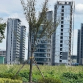 ������400ƽ���ȣ�