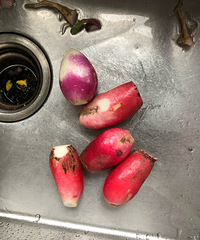 ����һ���ʺ����ݲ˵ĺü��ڣ����붼�·�