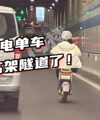 ��Ҫ���˰���