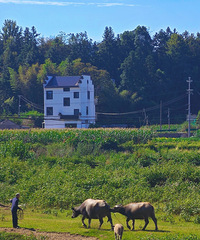 ɽ塢ʯ̶塢¥...ƼһɽԼ·