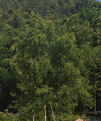 ��ɽ�塢ʯ̶�塢������¥...������Ƽ�һ��������ɽ�Լ�·��