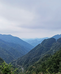 ������5Сʱ90������ɽ��· ����諼� ������·