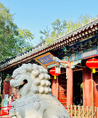 ѧУ̫ио˰ɣûԼϽѧУ еź