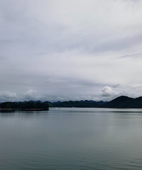 ǧ������Ԩʨ�ǵ�û�� �·���ʷ�ĳ��� �����Ž���Ӱϡ��