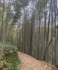 ����ͽ��÷��ŵ� �Ƚ�ԭʼ û����ҵ��Ϣ