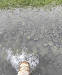 ںԴͷȻʷĽڡһʥ磡