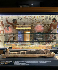 �Ϻ���������ľ����