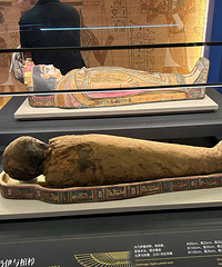 һֱ��ȥ������ľ���� û�뵽���Ϻ������ˣ�