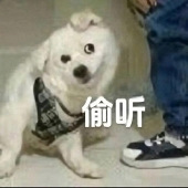 ��˵����ܶ����򷿣�