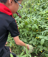 ���Ӹ�ϲ���������� �������˵������