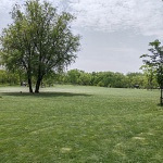 �����ϰ� 88���������