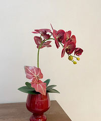 ϲ���辰̫���ˣ������·�ϲ��װ������ڼ��������