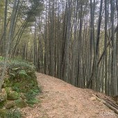 ���޻���ͽ����ɽ