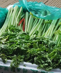 ���˲˼�Ҫ�����ˣ�Ŀǰ�Ѿ������������ˣ��ٵ�һ�Ⱦ͡���