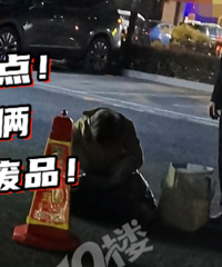 ����˵���� ������˵����