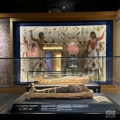 �Ϻ���������ľ����