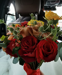 ���ı���Ʒ������Ҫϲ��Ҫ�� �����