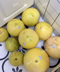 ��¥�����⡿�������Ҫ�����ӣ�һ�������˼�ʮ������Ƽ���