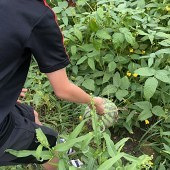 ���Ӹ�ϲ����������