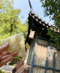 ����һ��һ�ȵĹ𻨼��� ��·�ϵ���Ʈ��Ũ���Ĺ���