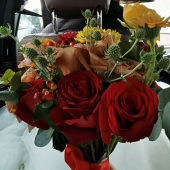 ��鵱���������