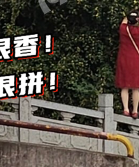 ��������ְ���