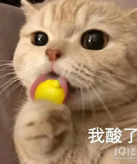 ��ĺ���Ľ������Ů ��С���Զ��� ��������˸�ĸ��æ�е�