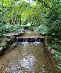 ���ݾ�Ϫʮ�˽���ɫ������ ����ͣ��Ҫ��30ԪÿСʱ