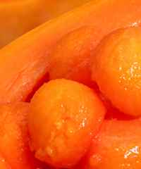 �����𣡳�˿����ľ�� ԭ��̬��ֲ����ũҩ