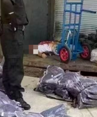 ���ݺ������Ϲ�����������ҵ��˵����£����������¹�ȥ�ˡ�