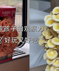 �ڼҺͺ���һ����Ģ���������ܳ����ԣ�