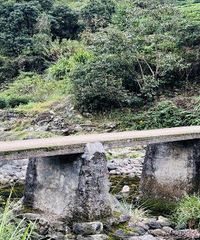 ��ɽ�ŵ���Ȼ�����鴫