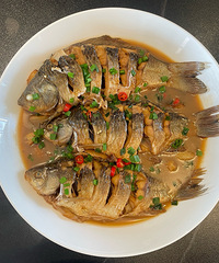 �����޶������˵��Ϻ����������� ��һ���Ϻ������̫ⷹ���ˣ�