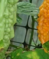 ��ϰ��һ��������