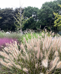 ����ֲ��԰ ����ط����ճ�����Ƭ��