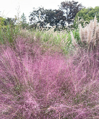 ��ط����ճ�����Ƭ