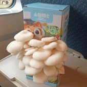 ��Ģ������Ȥ��