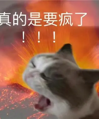 问问,装修有没有不发疯的吧?