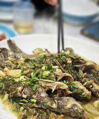 �ֳ��ľ����㣡���˲��ھ��������ũ�Ҳ� ��������ʮ�㻹ʵ�ݣ�