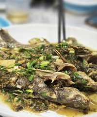 ���Ԥ�Ʋˣ�����С������ֳ�ũ�Ҳ� ̫�ó��ˣ�