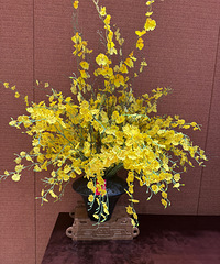 ���ڵ�ҽԺ��ô�������Զ������� ��Խ��Խ������