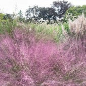 ��ط����ճ�����Ƭ