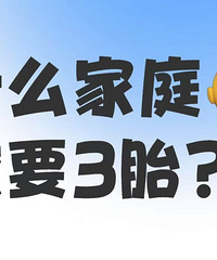 �����󣡵���ʲô���ļ�ͥ�Ÿ�Ҫ 3̥�أ�