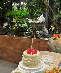 �����յĽ��ÿ��ѽ��������ҵ�Ҳ̫��Ƭ�˰� �������ã�