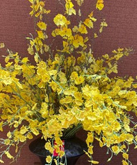 ���ڵ�ҽԺ��ô�����޵Ŀ��Զ�������