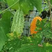 �Ѿ�ϰ��һ��������